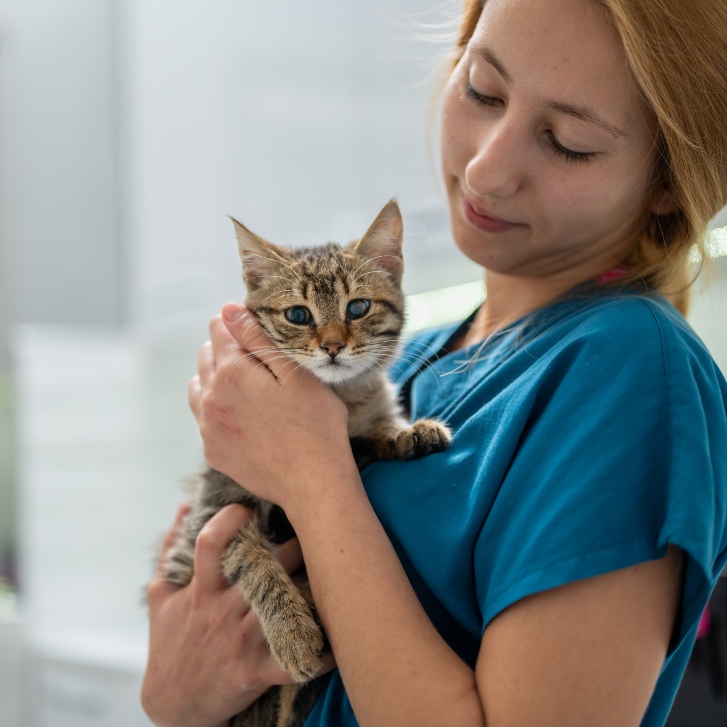 Ung i praksis web billede